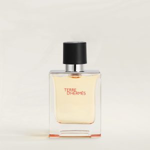 Hermès Terre d'Hermes Eau de toilette (50ml/100ml)