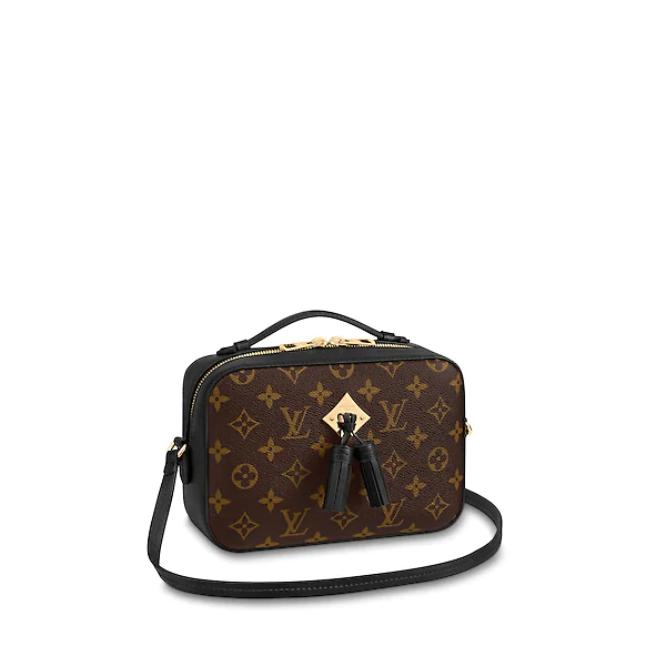 LV Saintonge Monogram Noir - Image 2