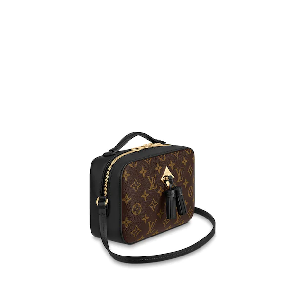 LV Saintonge Monogram Noir - Image 3
