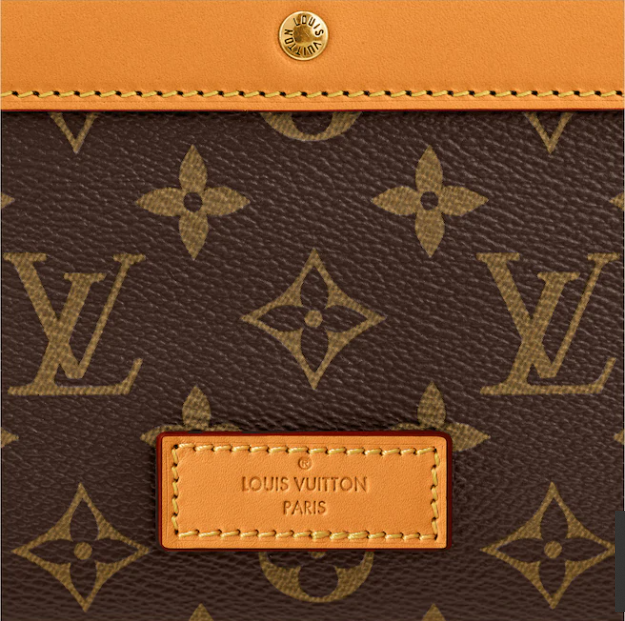 LV Soft Trunk Backpack MM - Image 5