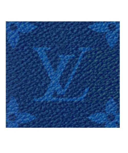 LV Pocket Organiser Taiga Monogram Cobalt - Image 6