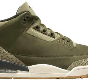 Air Jordan 3 Retro 'Family Affair' 2025